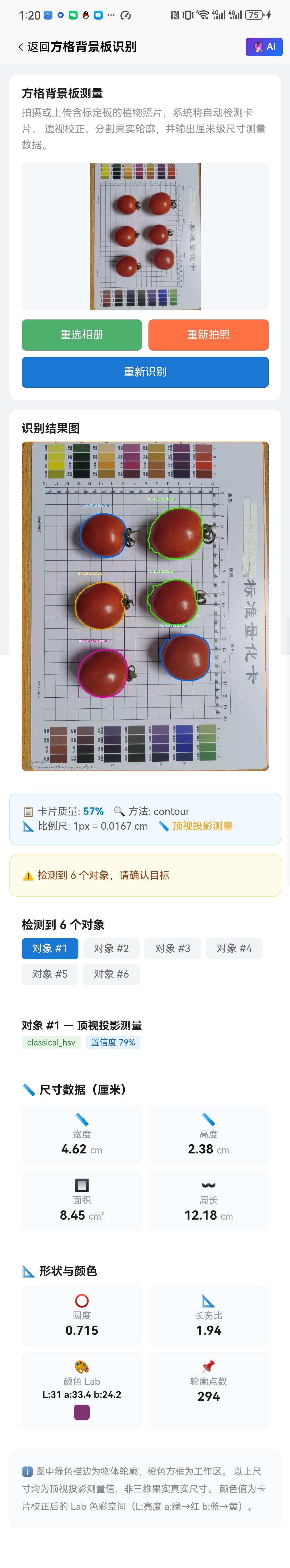 手机端方格背景板-6个番茄